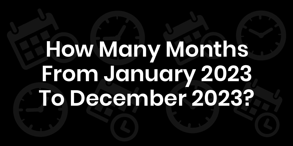 how-many-months-from-january-2023-to-december-2023
